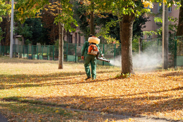 Professional Pest Control in Eaton, CO